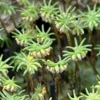 K.C. Moriya (@kcmoriya) 's Twitter Profile Photo