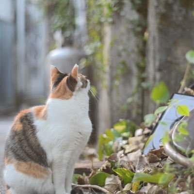 15_monochrome's profile picture. 雑食