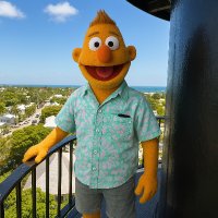 Ben (@bbgatch) 's Twitter Profile