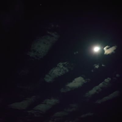 akushiba_k's profile picture. 多趣味(カラオケ、映画鑑賞(アニメ含む)、小物作り、占い、料理等々)な社会人ですが、よろしくお願いいたします🙇