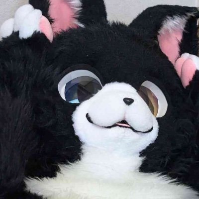 猫玉🔜ディズニーランド🎄 (@love27197429) / Posts / X