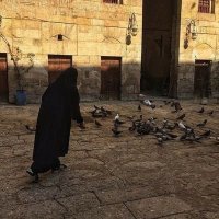 e s y â n (@_esyan) 's Twitter Profile
