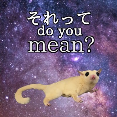 🫧🪼おもち🪼🫧 (@0mochi_) / Posts / X