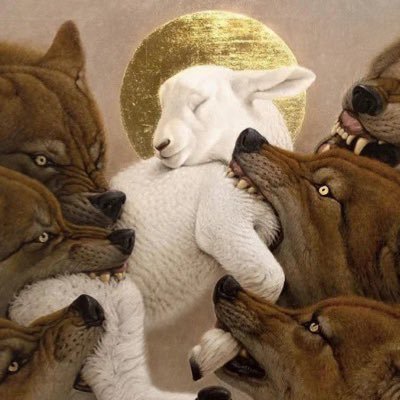 pootdotcom's profile picture. hii🥣