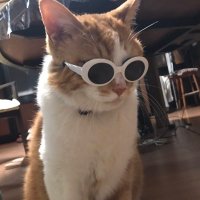 ใใใใ๐ก๐ฏ๐ก๐ฏ๐ด๐ฟ๐๐ข (@monkeyimmonkey) 's Twitter Profile