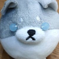 はの (@itf_petunia) 's Twitter Profile