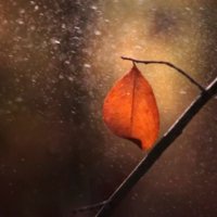 LonelyLeaf 樂 🌊🥠 ⚔️ 👣合🦷 (@simulationdraft) 's Twitter Profile Photo LonelyLeaf 樂 🌊🥠 ⚔️ 👣合🦷 (@simulationdraft) 's Twitter Profile Photo