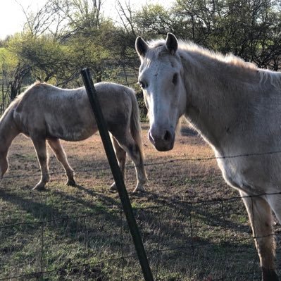 TM1638118782476's profile picture. 