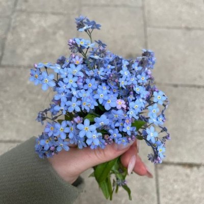 mediokratt's profile picture. mari kita cari ketenangan itu