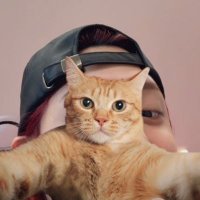 podo (@sn_podo) 's Twitter Profile Photo podo (@sn_podo) 's Twitter Profile Photo