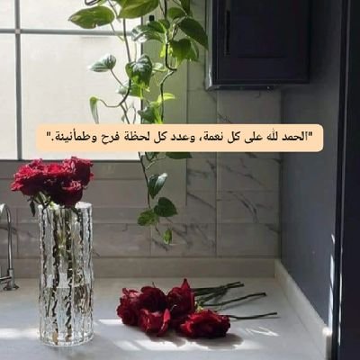 بين ذكريات الأمس وطموحات الغد، أعيش لحظات ملهمة وأحلاماً تتجدد كل يوم. هنا، حيث يتحول الماضي إلى دافع لبناء مستقبل أفضل. 🌟'
