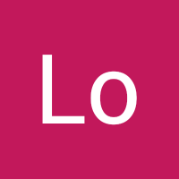 Lo FI (@lofi7797) 's Twitter Profile