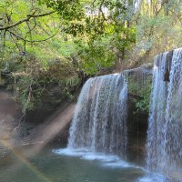 ぐりーん (@0127medaka) 's Twitter Profile Photo