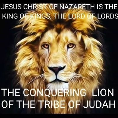 Trump will get victory after victory and become the greatest president of all time. Repent, Jesus is coming soon!