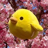 ์ฌ์ฌ (@y_sasa__) 's Twitter Profile Photo ์ฌ์ฌ (@y_sasa__) 's Twitter Profile Photo