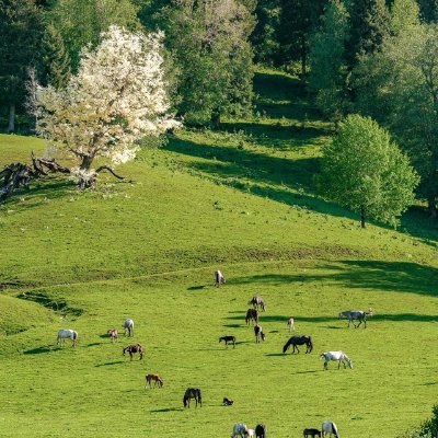 Thuyenhan2000's profile picture. 