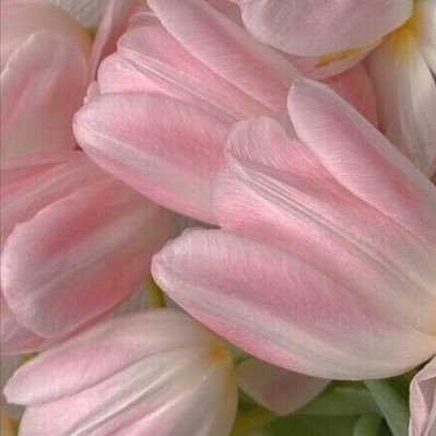 AltuwaijrySaja's profile picture. سَنَغدُوا رُفَـاتًا ويبقى الأثَـر..