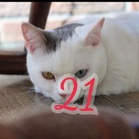 取引き(+α)メル⚾ (@xhcymrl90vjc41a) 's Twitter Profile Photo 取引き(+α)メル⚾ (@xhcymrl90vjc41a) 's Twitter Profile Photo