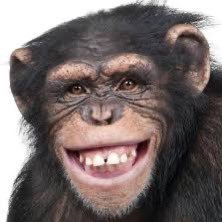 Widunnow's profile picture. _̴̡̧̧̢̧̭̺̣͖̬̲̹̬̭̰̘̫͎̹͓̹̮͔̩̦̫̮̰͕̝̝̲̺͚̪̝̰̲̩̹̱̤͒̄̀̅̍͐̓̀͊̌̍̎̐̔͋̆̈́̽̀̓̀̀̾́̾̑͗́̉̃̎̾̊͑̆̓̀ 💻 Infra Engineer