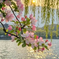 باروت كامل (@bbarwt35784) 's Twitter Profile
