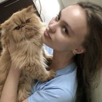 venus (@40kc4l) 's Twitter Profile