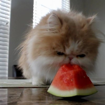 nalieva_'s profile picture. hi