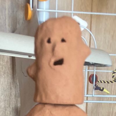 カウさんのプロフィール画像