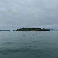 Badabing100 (@badabing101439) 's Twitter Profile
