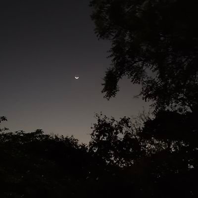 Duckodes's profile picture. 20| Aquarius.
A girl with a never ending to-do list.
Learning to code.