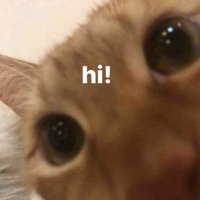 unofficialgoofball •. ୨୧合°❀⋆.ೃ࿔*:・ (SEEING SKZ) (@unofficialgoof) 's Twitter Profile