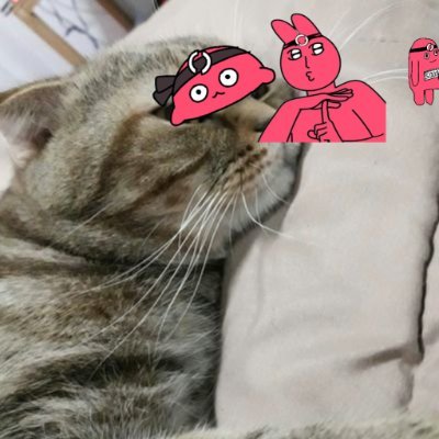 Teesainamkaew's profile picture. reddio