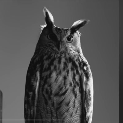 BBN. OVO.