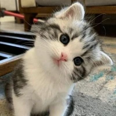 A_cathymalibu29's profile picture. 