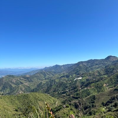 maunawilde's profile picture. 🌱 | ☕️ | Animal |