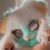 Yoko! FWA 2025 (@sillyliloomfie) Twitter profile photo Yoko! FWA 2025 (@sillyliloomfie) Twitter profile photo