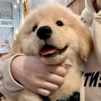 uptu_ (@nqazwsx) 's Twitter Profile Photo uptu_ (@nqazwsx) 's Twitter Profile Photo