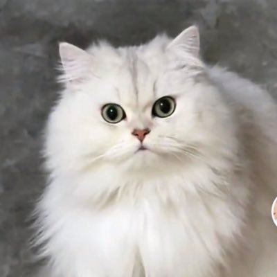 InfinityJun1's profile picture. Original