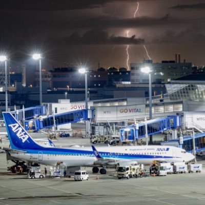 CzfPRocFSw11411's profile picture. 航大R9受験予定