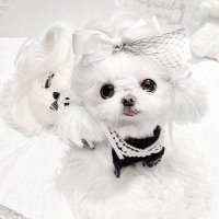 이 ྀི (@_yeos2) 's Twitter Profile