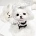 이 ྀི (@_yeos2) Twitter profile photo 이 ྀི (@_yeos2) Twitter profile photo