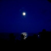 Talal Talal (@talalta06173107) 's Twitter Profile Photo Talal Talal (@talalta06173107) 's Twitter Profile Photo