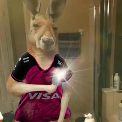 ImQueta's profile picture. 22 y.o 🇨🇱 | Valorant Player | Peak Elo: Inmortal I | Road to Radiant | ONE DAY 15/11/2024 | Main Centinelas |