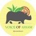 Voice of Assam (@voiceofaxom) Twitter profile photo Voice of Assam (@voiceofaxom) Twitter profile photo
