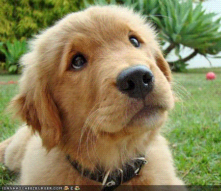 AnitaBhatia's profile picture. 