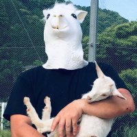 Hub_uchi(籔内 政勝) | 株式会社DENSO (@hub_uchi) 's Twitter Profile Photo Hub_uchi(籔内 政勝) | 株式会社DENSO (@hub_uchi) 's Twitter Profile Photo