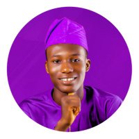 Mr. Wola - The Purple Guy 💜 (@woladev) 's Twitter Profile