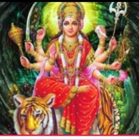 Priyanshi Babal (@babalpriyanshi) 's Twitter Profile