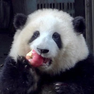 teddykang_'s profile picture. @bbasjtr ♡@maxky_rp #ด้อมน้องเนย #บาสเด็กอ้วนที่แท้จริง #แม็กกี้บาส #maxkybas #6CODE