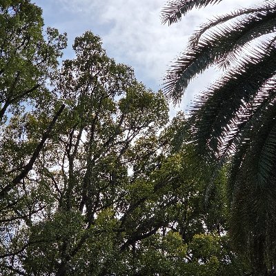 ce102282's profile picture. 5C, 情報通信
NWとかPCとか