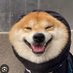 Dawg! (@aadog12493490) Twitter profile photo Dawg! (@aadog12493490) Twitter profile photo